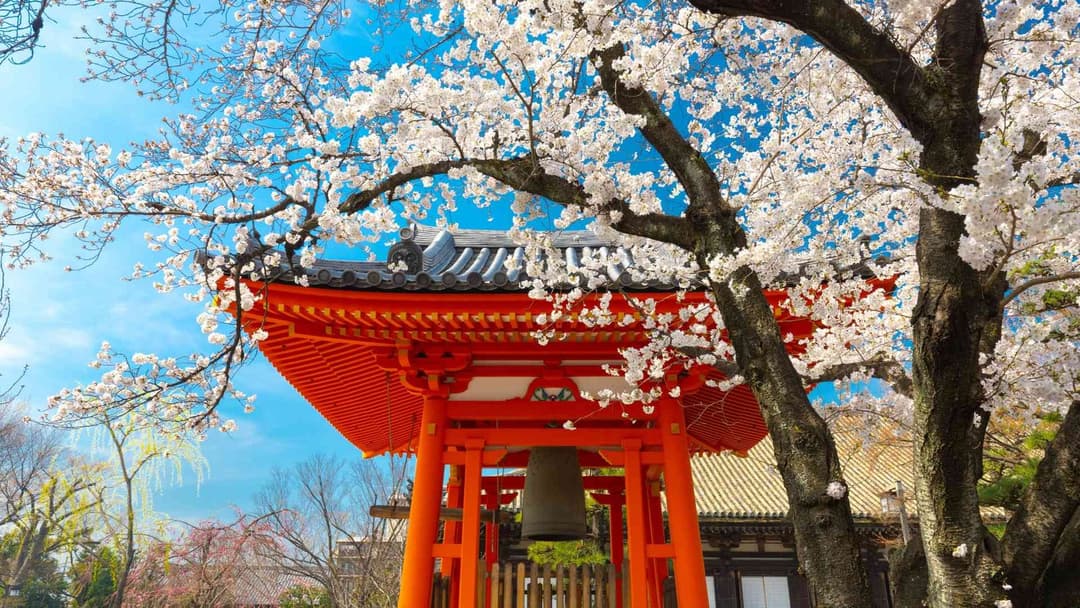 Japanese Language Course in Laxmi Nagar – Learn Japanese with the Best Institute in Delhi