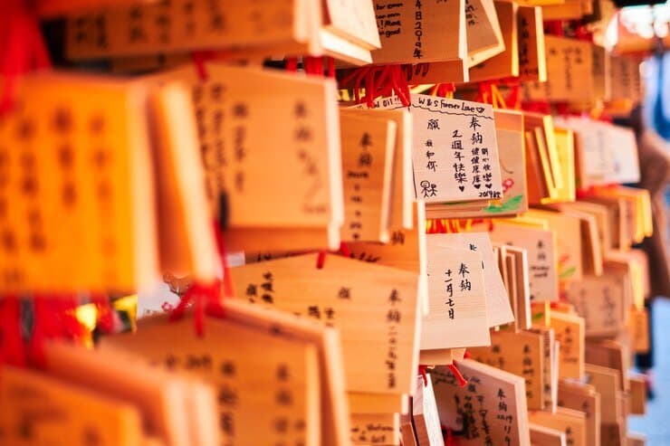Best Japanese Language Institute in Delhi: Team Language Services (TLS)